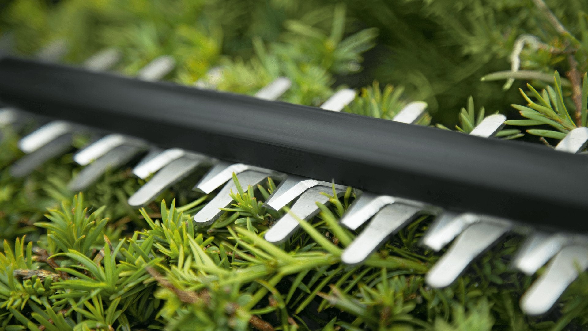 EAN 4059952558790 - Bosch Universal HedgeCut 18V-50 Cuchilla sencilla 2,6 kg imagen 10