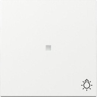 Gira 367403 Wippe Kontrollf. + Symb. Licht System 55 Reinweiss