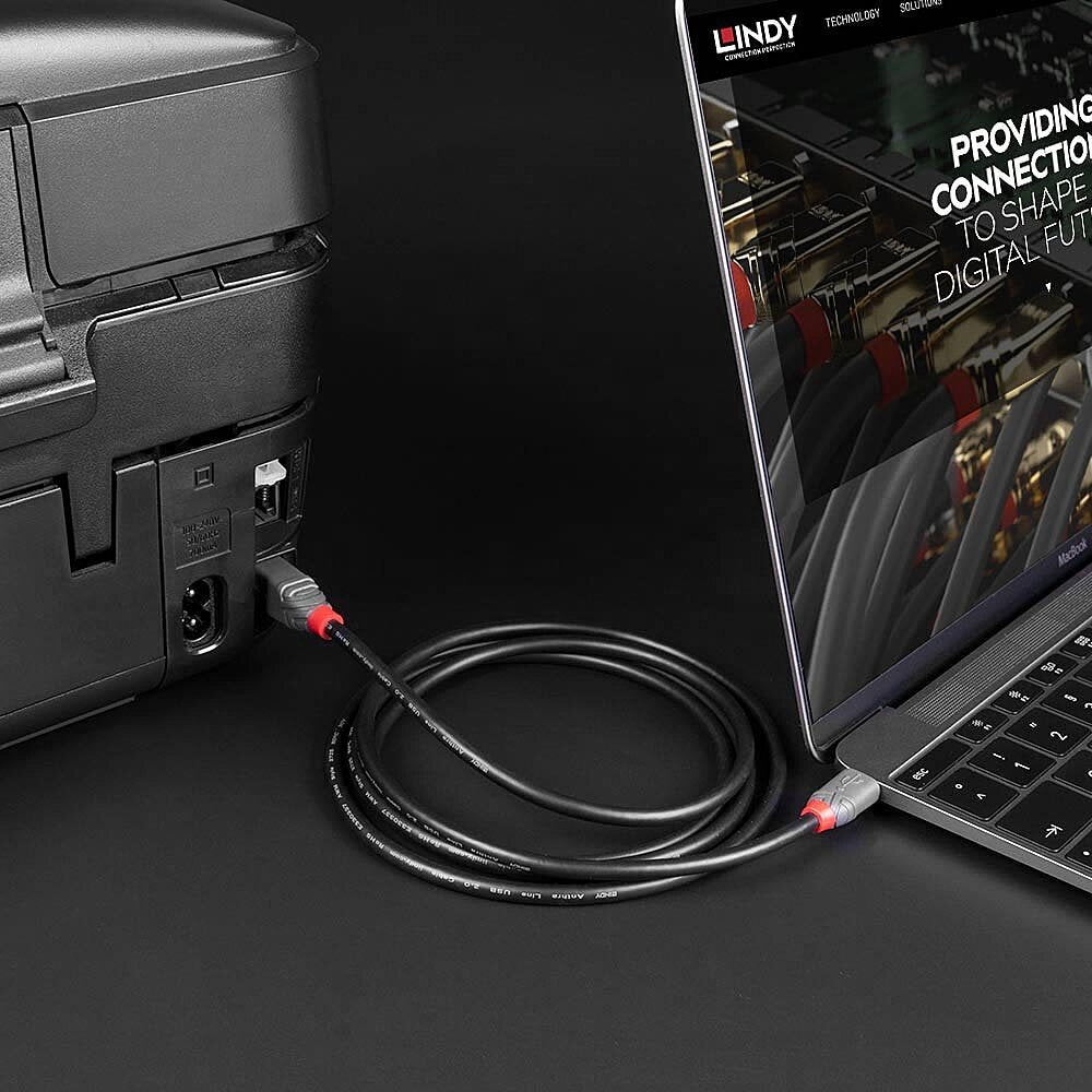 Cable Lindy 0.5m Usb 2.0 Typ C An B  Anthra Line