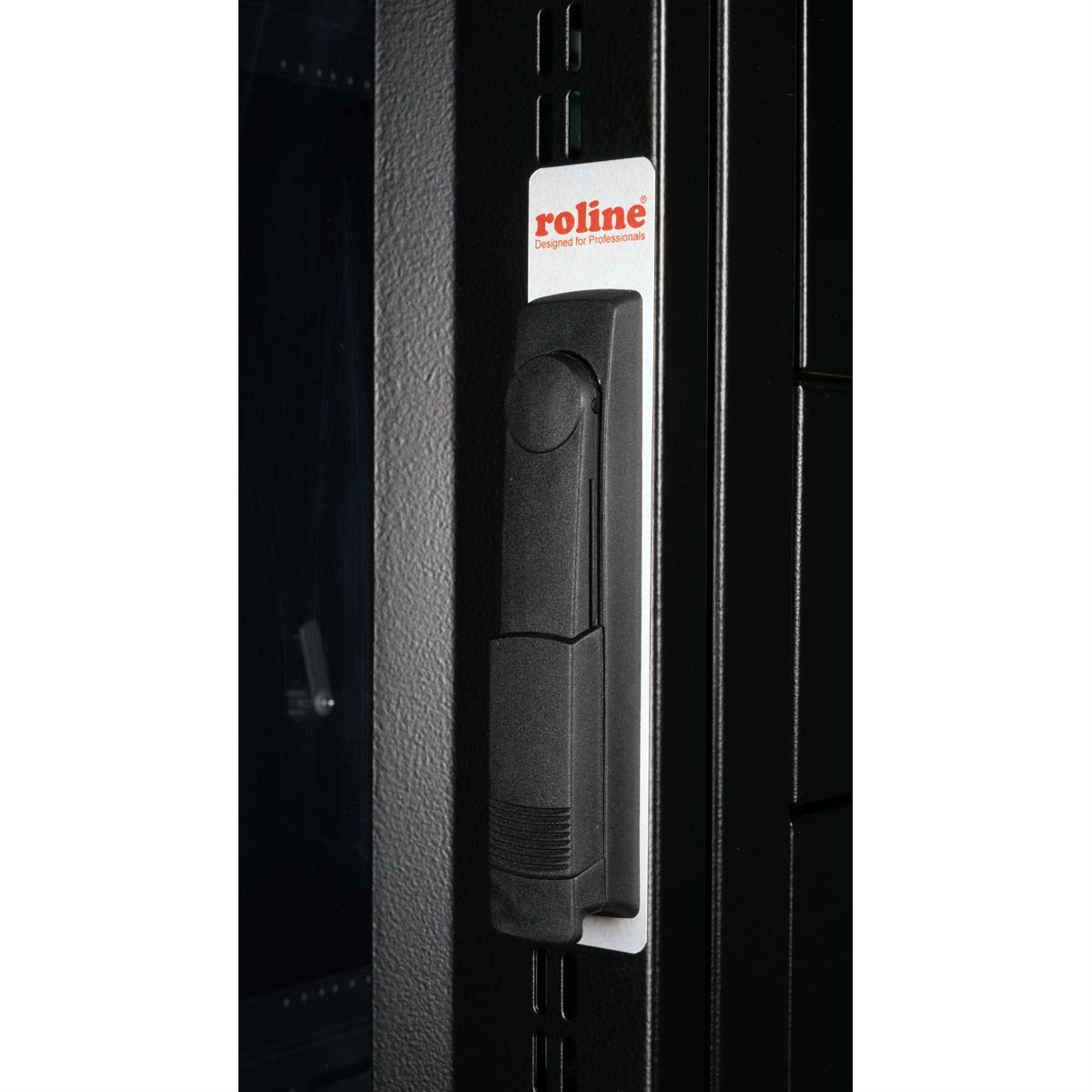 Roline 19-Zoll Serverschrank Pro 42 He, 600x1000 Bxt Schwarz Plexiglas