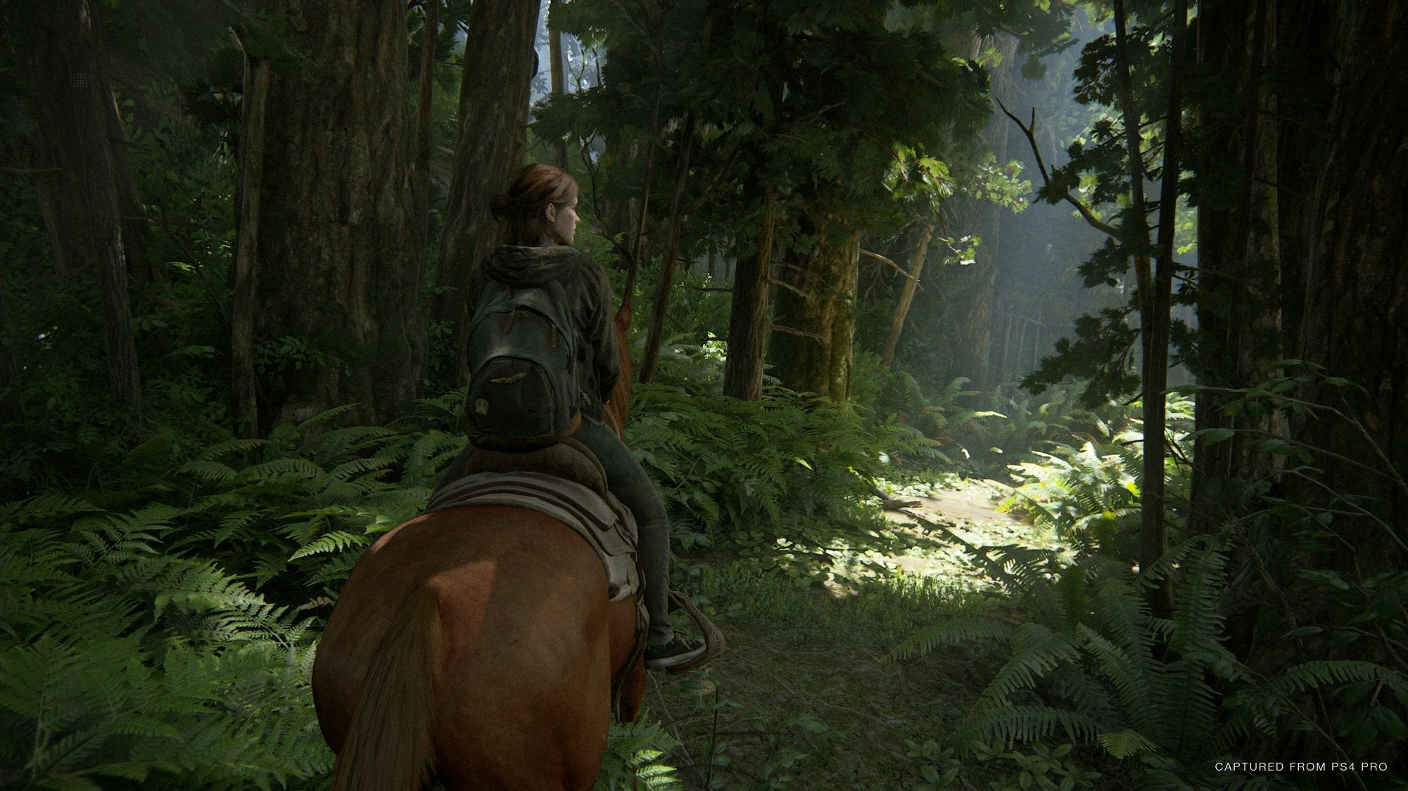 Videojuego Para Ps4 The Last Of Us Parte 2