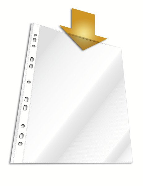 EAN 4005546203270 - Durable 267319 protector de hojas 210 x 297 mm (A4) Polipropileno (PP) 40 pieza(s) imagen 1