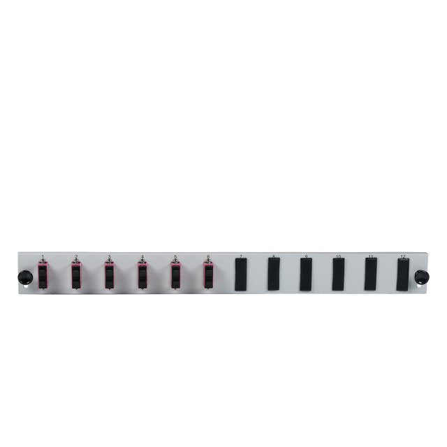 Efb Bestckte 12 Port Frontblende Mit 6 X Sc Duplex Kupplung Om4 Vertikal, Grau