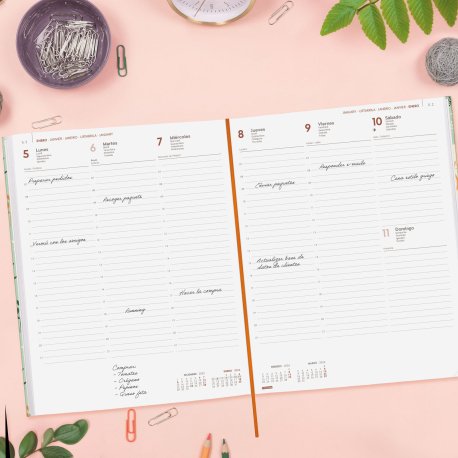 EAN 8422952404422 - Finocam 624022226 agenda Agenda diaria Verde imagen 4