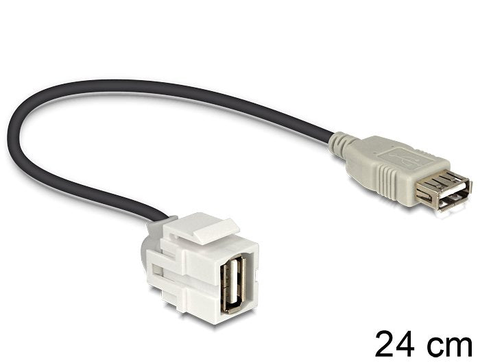 Delock Keystone Modul Usb 2.0 A Buchse 250 > Usb 2.0 A Buchse Mit Cable Weiss