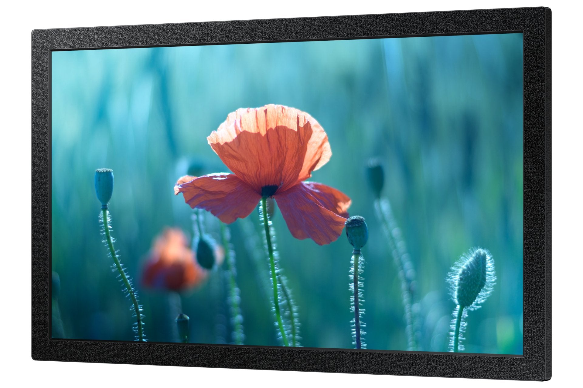 Samsung Ds Qb13c 33.7cm 16 7 13.2'' 1920x1080 Hdmi Usb 2.0