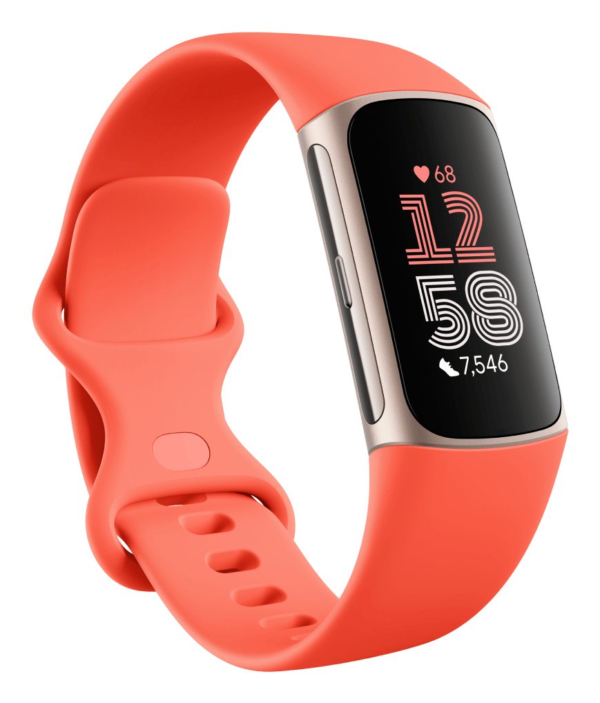 EAN 0840353901124 - Fitbit Charge 6 AMOLED Pulsera de actividad Champán, Oro imagen 1