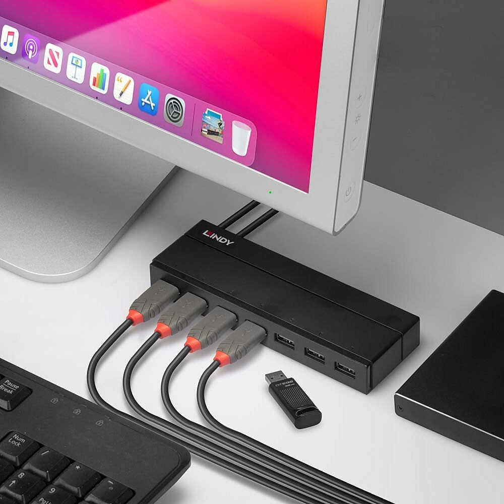 Lindy Usb 3.1/3.0 Hub 7 Puertos Con Función De Carga