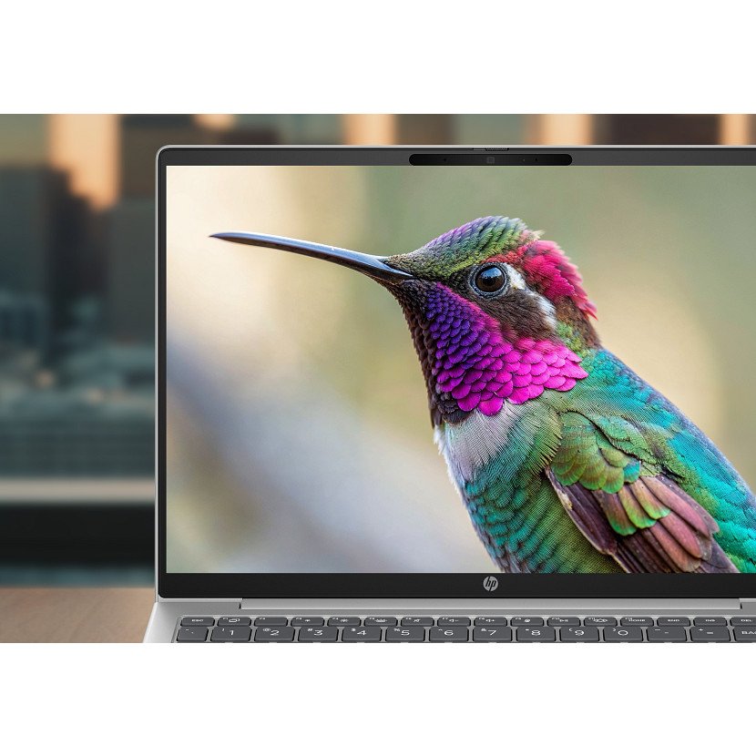 Hp Probook 4 G2i 13 Ai Intel Core 5 315 13.3p Wuxga 16go Ddr5 512go Ssd Ax6g+Bt 3c Batt W11p 1yr Wrty