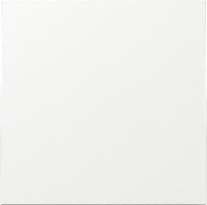Gira 329670 Placa De Pared Y Cubierta De Interruptor Blanco