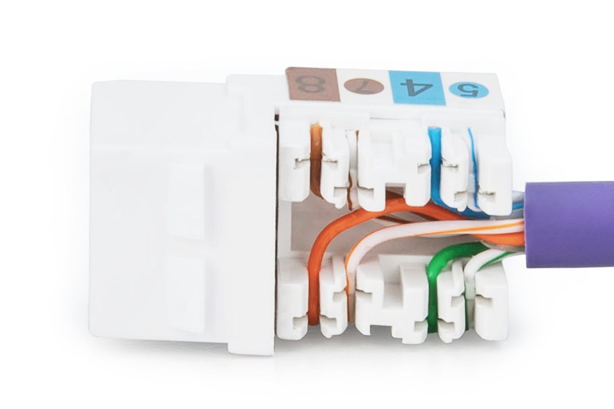 Digitus Conector Keystone Cat 6 Jack Dn-93601