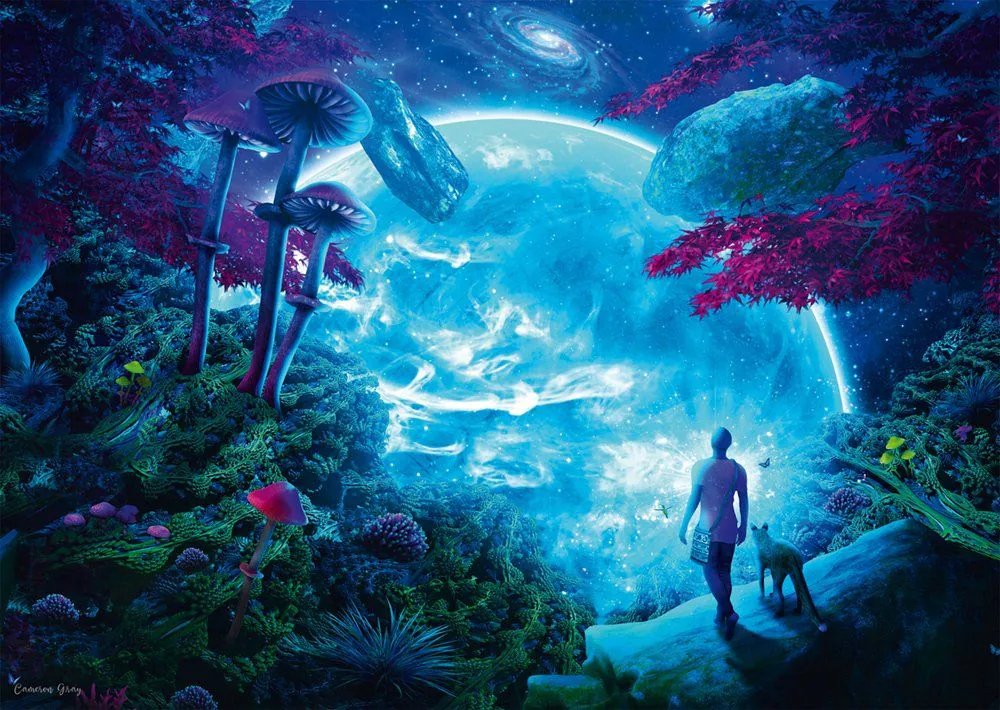 Puzzle Schmidt Games Cameron Gray Sky Fantasía (1000 Piezas)