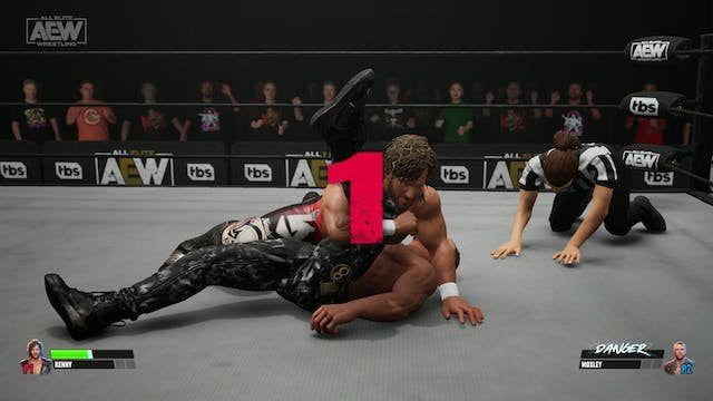 All Elite Wrestling Fight Forever