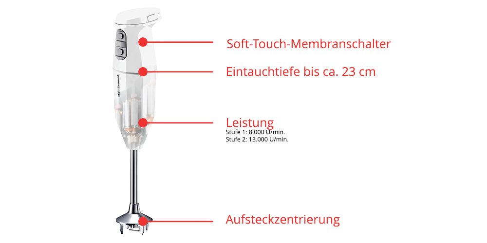 Batidora Esge-Zauberstab  Cordless White