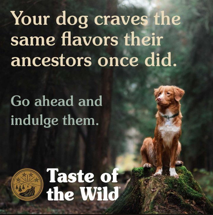 EAN 0074198613311 - Taste of the Wild Pine Forest 2 kg Adulto Cordero, Bola, Carne de venado imagen 8