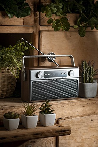 EAN 5902934839143 - Camry Premium Radio CR 1183 Portátil Digital Aluminio, Negro, Madera imagen 8