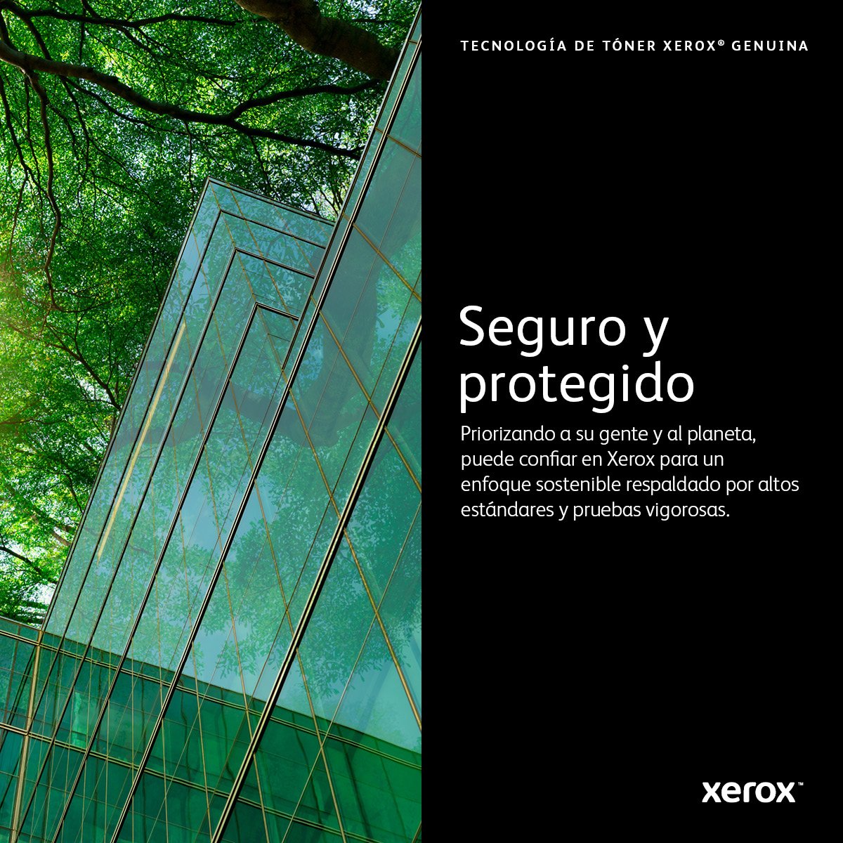 EAN 0095205864182 - Xerox 106R03874 cartucho de tóner 1 pieza(s) Original imagen 8