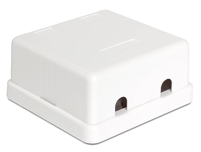 Delock Caja Keystone Montada En Superficie, 2 Puertos