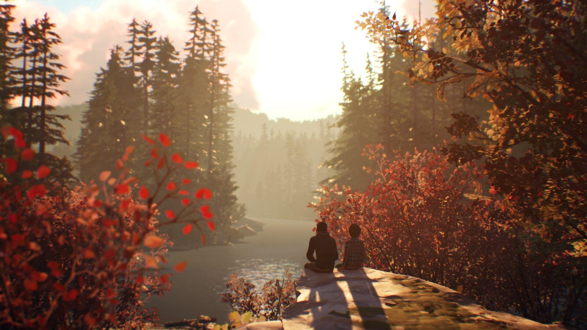 Juego Life Is Strange 2 Playstation 4