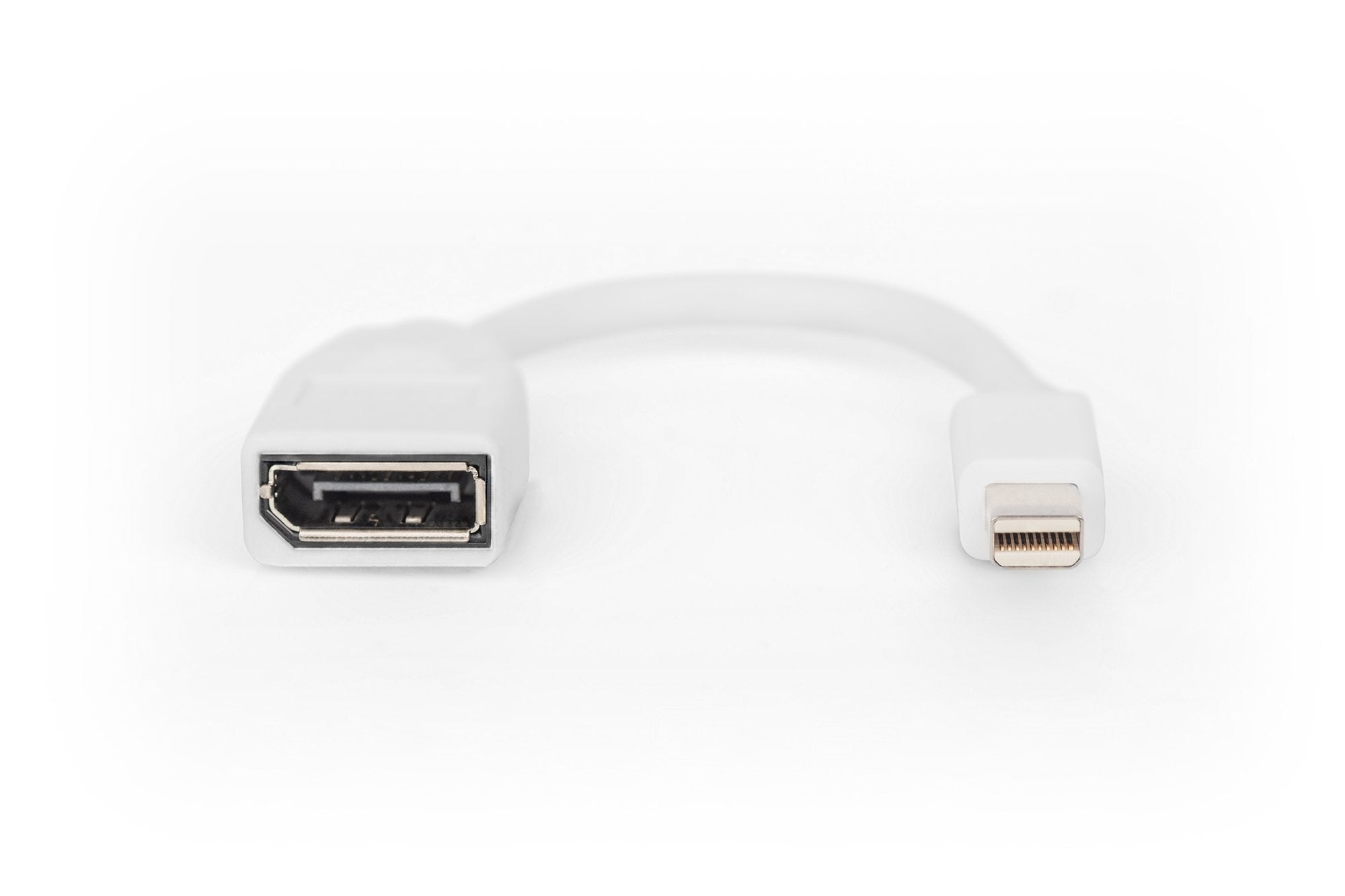 Adapter Mdp->Dp S/B 0,15m Mini Dp - Dp 1.2 Konform