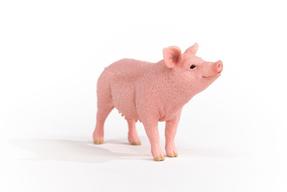 EAN 4059433358260 - schleich FARM WORLD 13933 figura de juguete para niños imagen 6