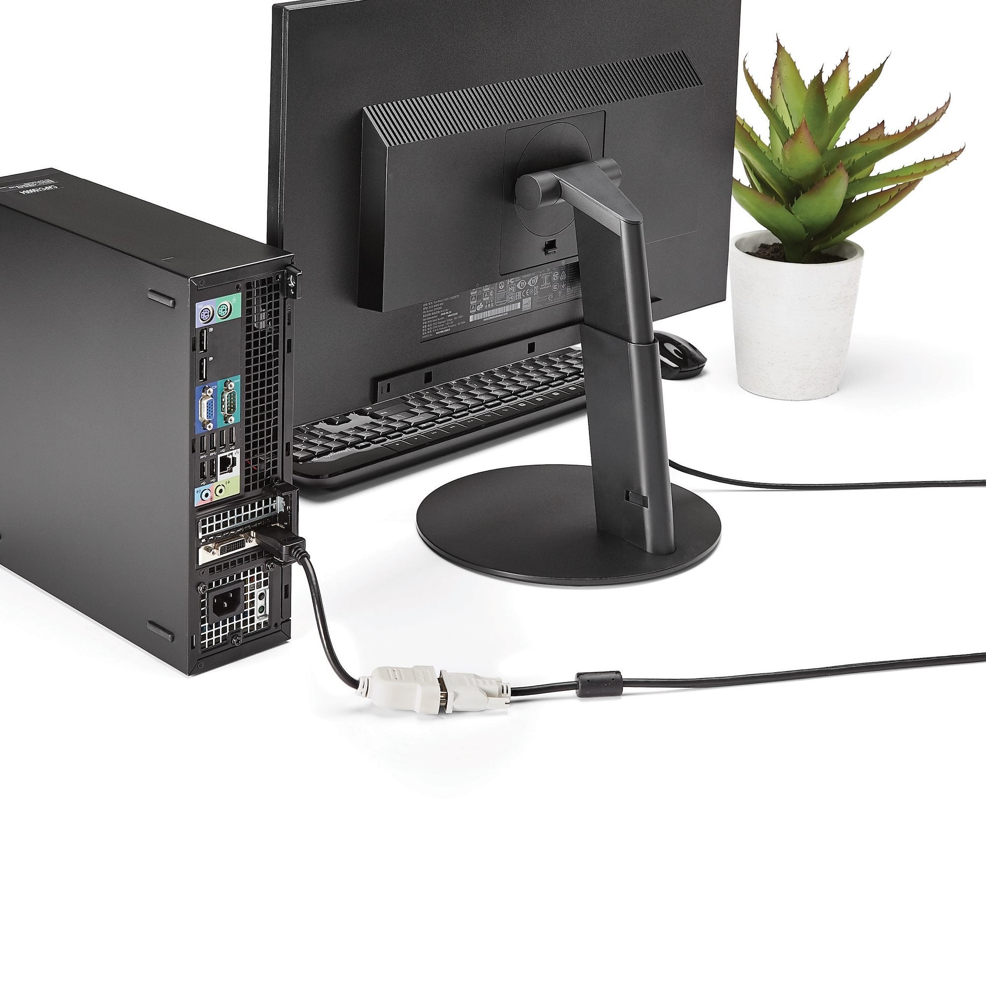 Startech Conversor Pasivo Displayport A Dvi  1920x1200