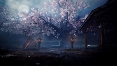 Ps4 Nioh 2