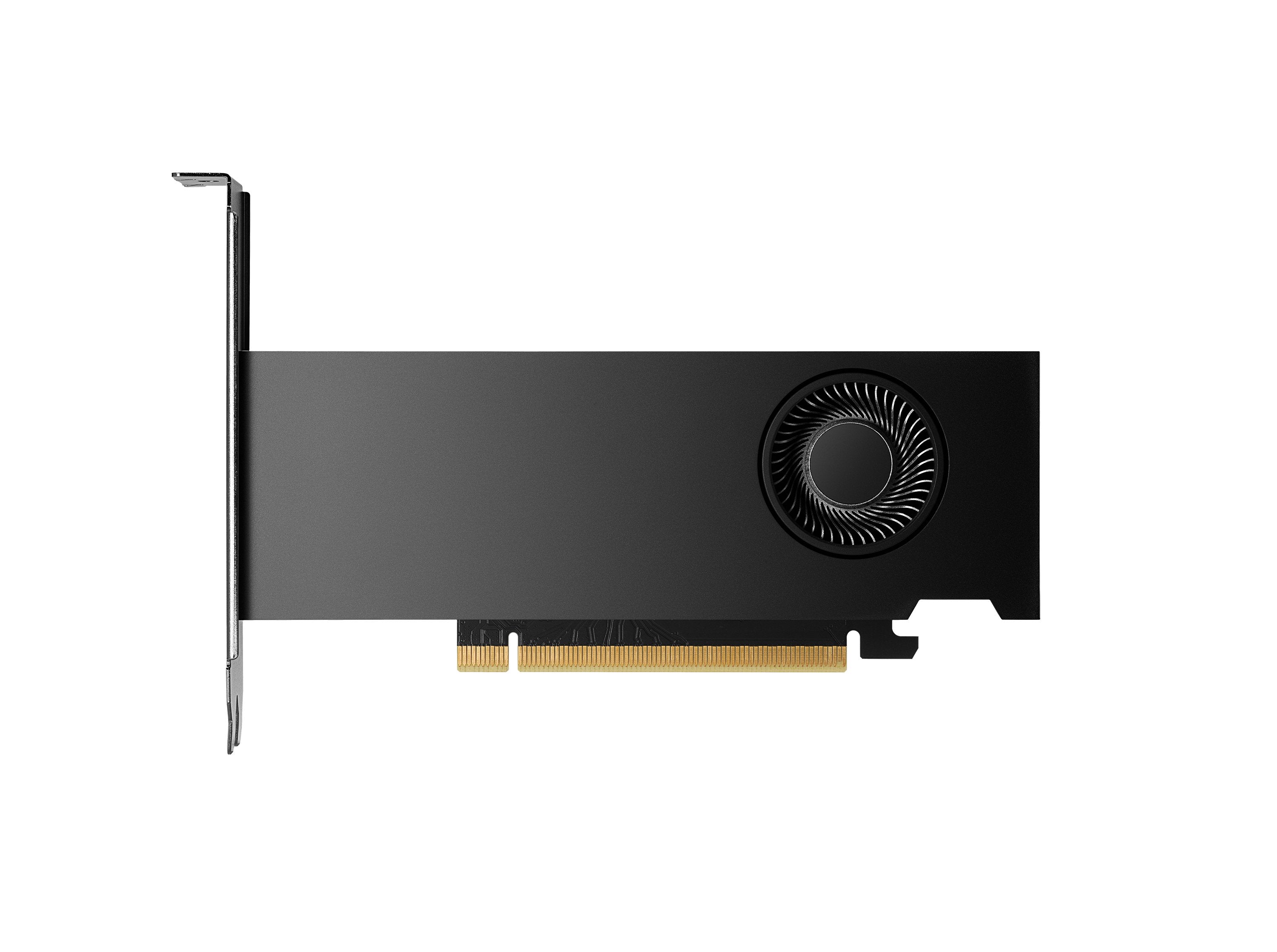 EAN 3536403398941 - PNY RTX2000 Ada NVIDIA RTX 2000 Ada 16 GB GDDR6 imagen 8