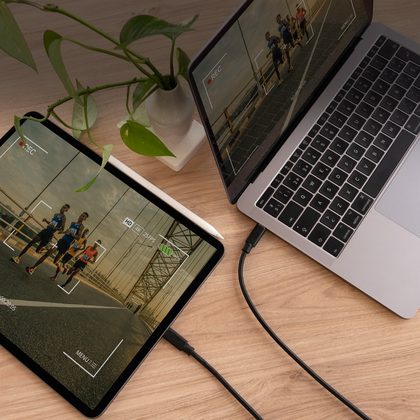 Cable Usb 2.0 3a Tipo Usb-C/M-Usb-C/M, Negro 1.5 M