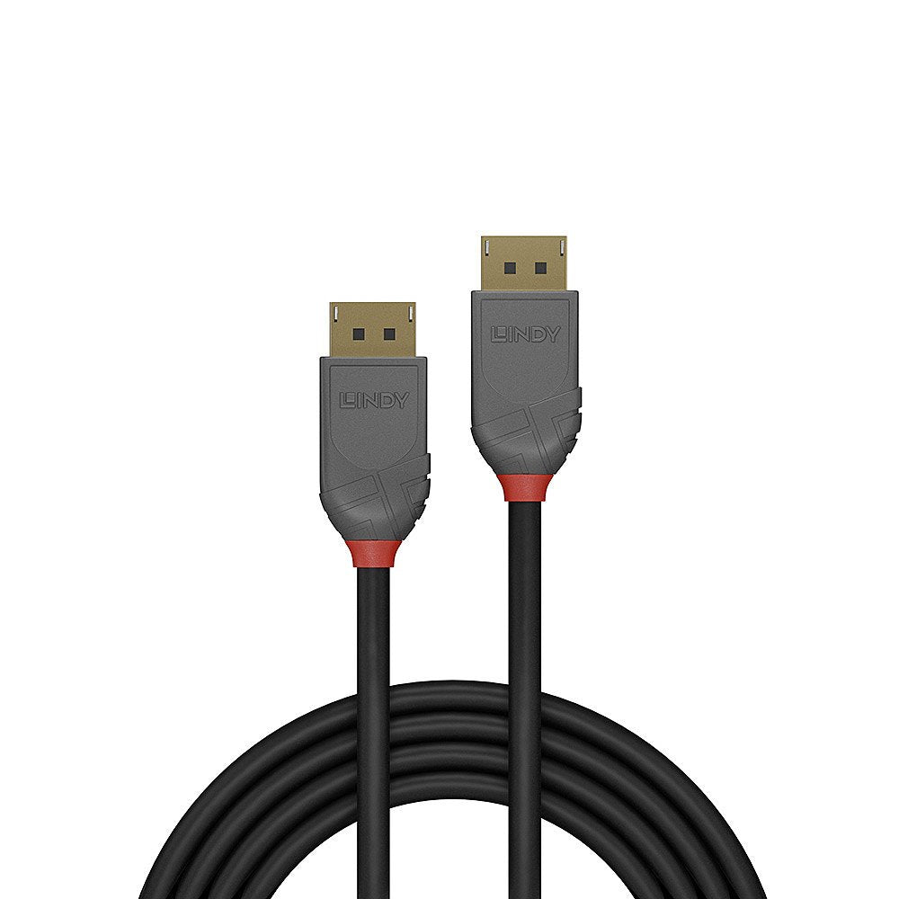 Lindy 36482 Cable Displayport 2 M Negro