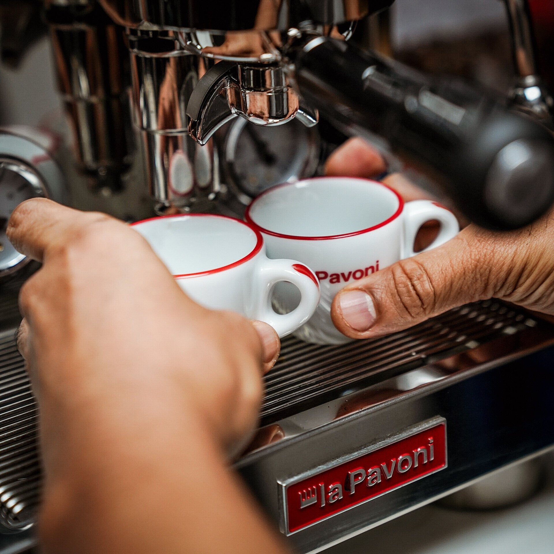 La Pavoni New Botticelli Speciality
