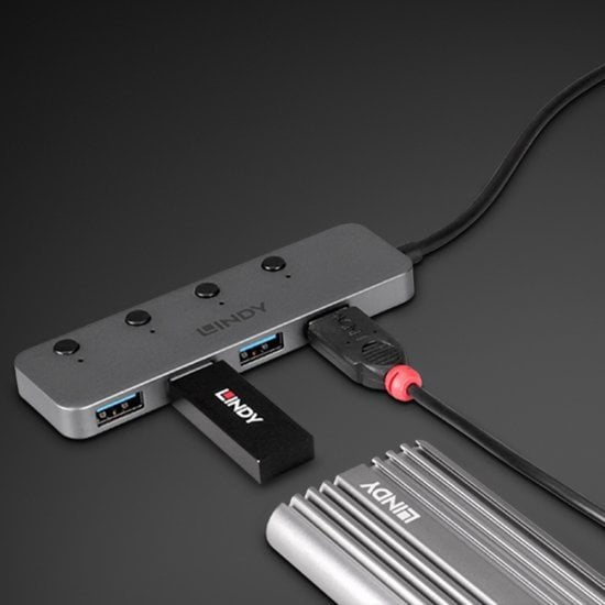 Lindy 43383 Hub De Interfaz Usb 3.2 Gen 1 (3.1 Gen 1) Type-C 5000 Mbit/S Gris
