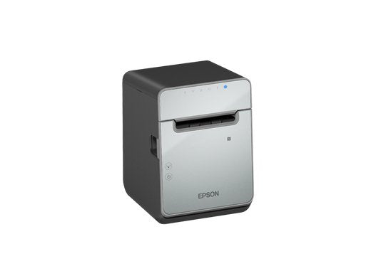 Epson Tm-L100 (121a0): Usb