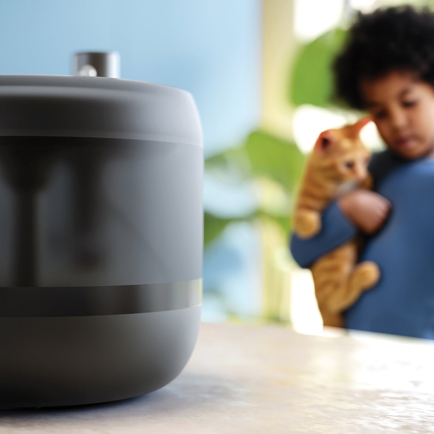 Philips Pet Water Fountain 2,2l Negro Negro (Paw3210 02)