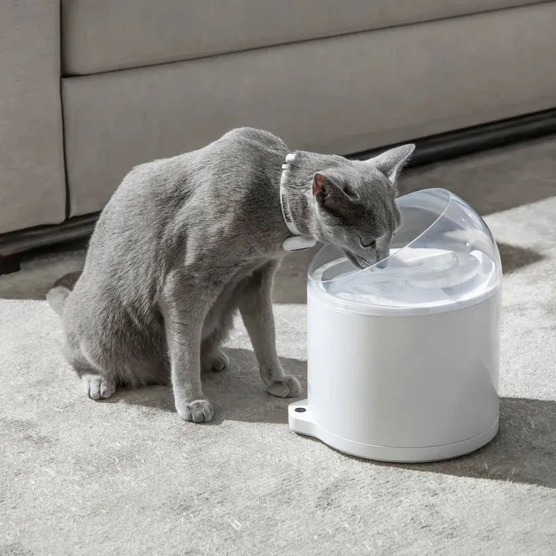EAN 6972884751085 - CATLINK PURE 2 comedero y bebedero para perro y gato Acrilonitrilo butadieno estireno (ABS) Blanco Univer imagen 6