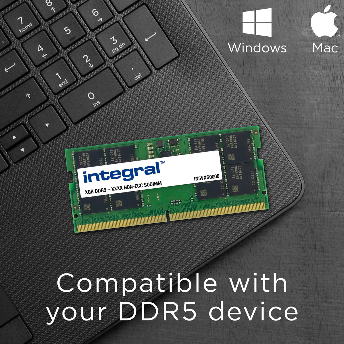 Memoria Integral 8gb Ddr5 5600mhz Pc5-44800 Unbuffered Non-Ecc 1.1v 1gx16 Cl46 1 X 8 Gb