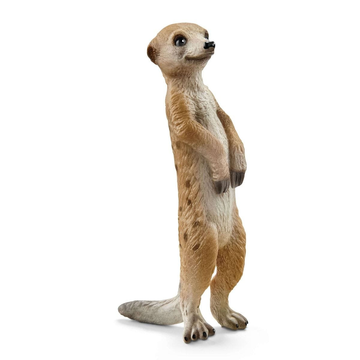 Schleich Vida Salvaje 42475 Set De Juguetes