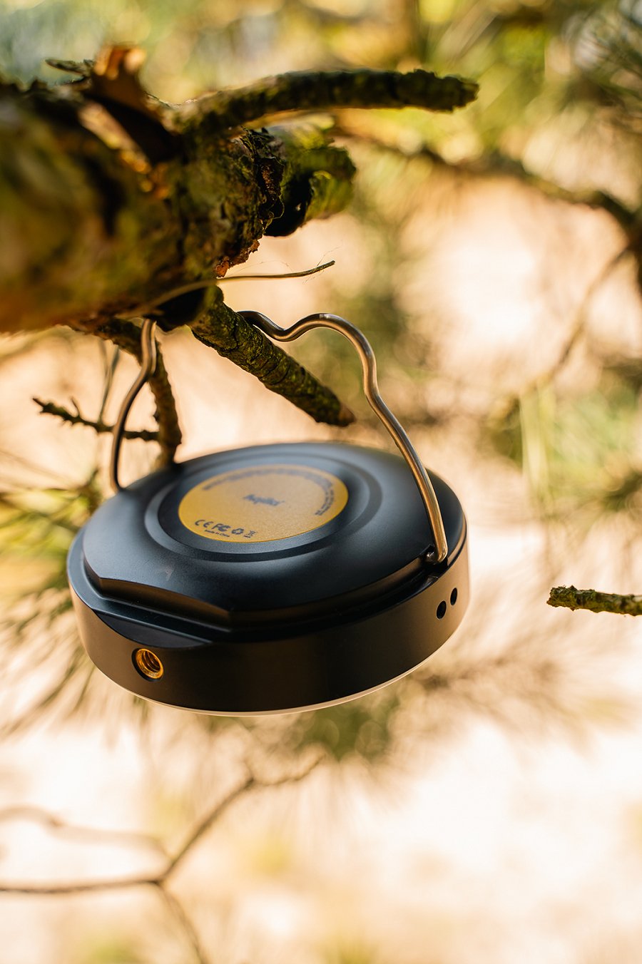 Aqiila Powerbird Bl10 Powerbank Lampe 20w Schwarz 10.000 Mah