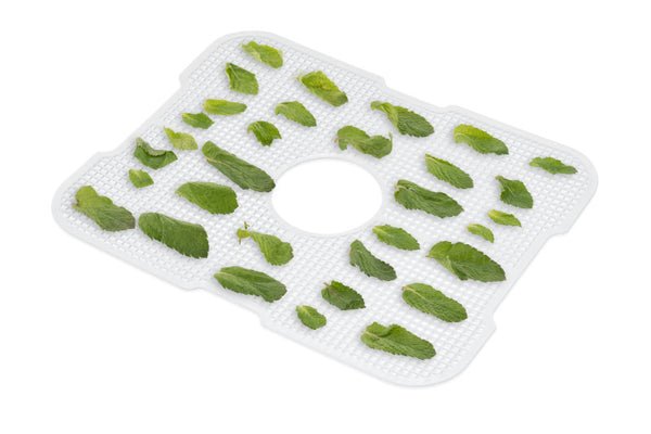Secador De Alimentos Premium Eta Eta930190000 Secca, 380 W, Pantalla Led, Temporizador, Función De Ventilador.