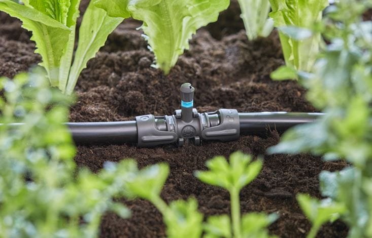 Gardena Micro-Drip-System Pieza En T Para Boquillas De Pulverización, 13 Mm (1/2"), Conexión (Gris Oscuro, 5 Piezas