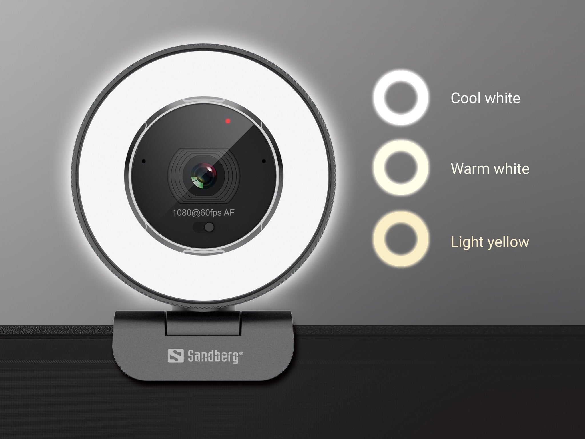 EAN 5705730134395 - Sandberg 134-39 cámara web 2560 x 1440 Pixeles USB 2.0 Negro imagen 10