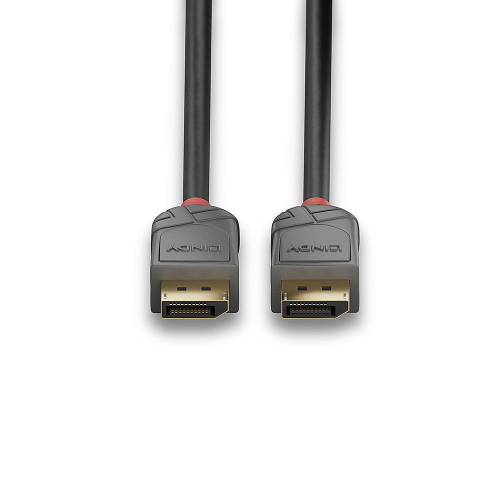 Lindy 36484 Cable Displayport 5 M Negro, Gris