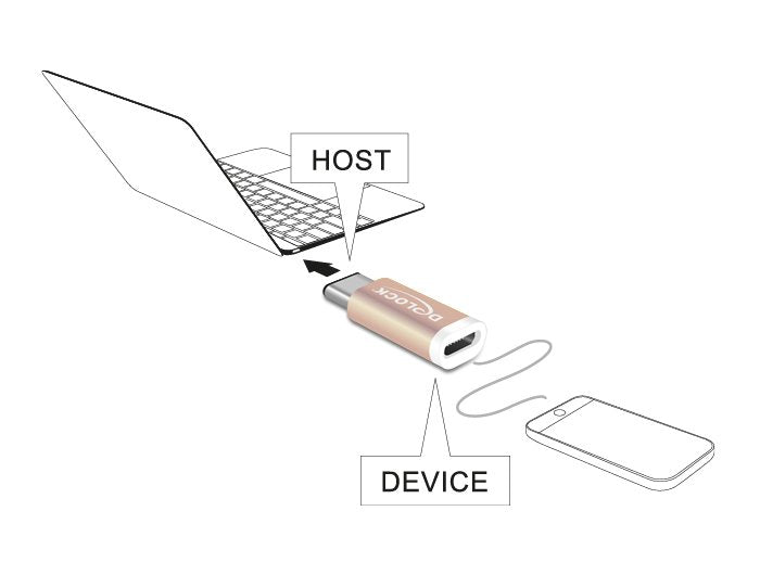 Delock Adaptador Usb 2.0 Micro-B Hembra > Usb Tipo-C 2.0 Macho Gold