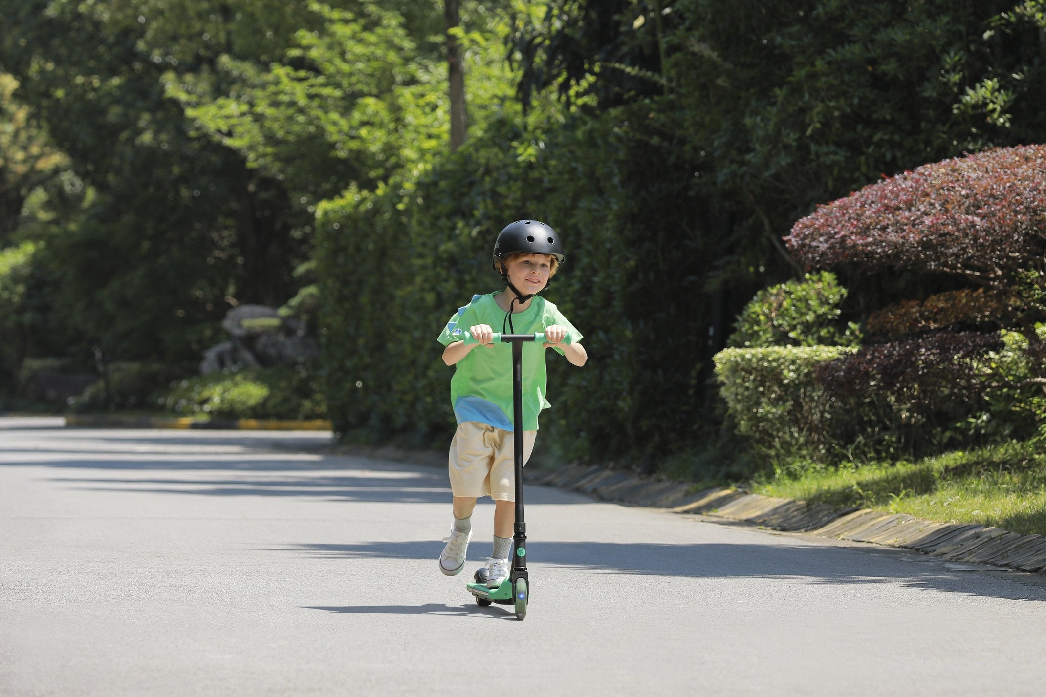 Patinete Eléctrico Segway Zing A6