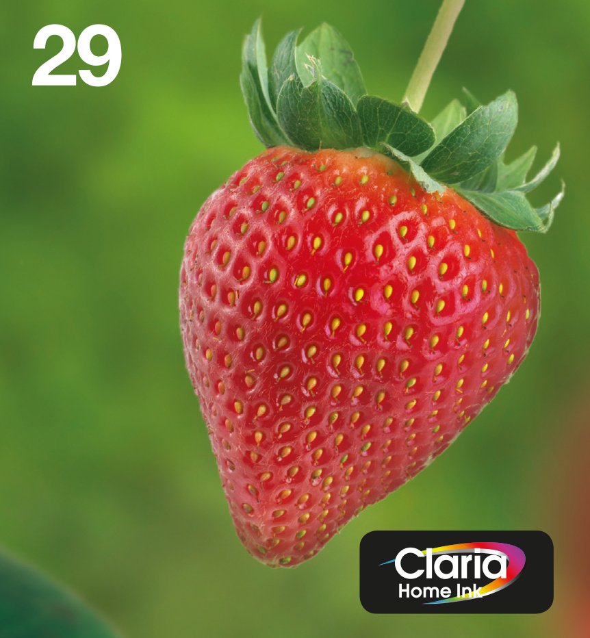 Epson Strawberry Multipack 4-Colours 29 Easymail