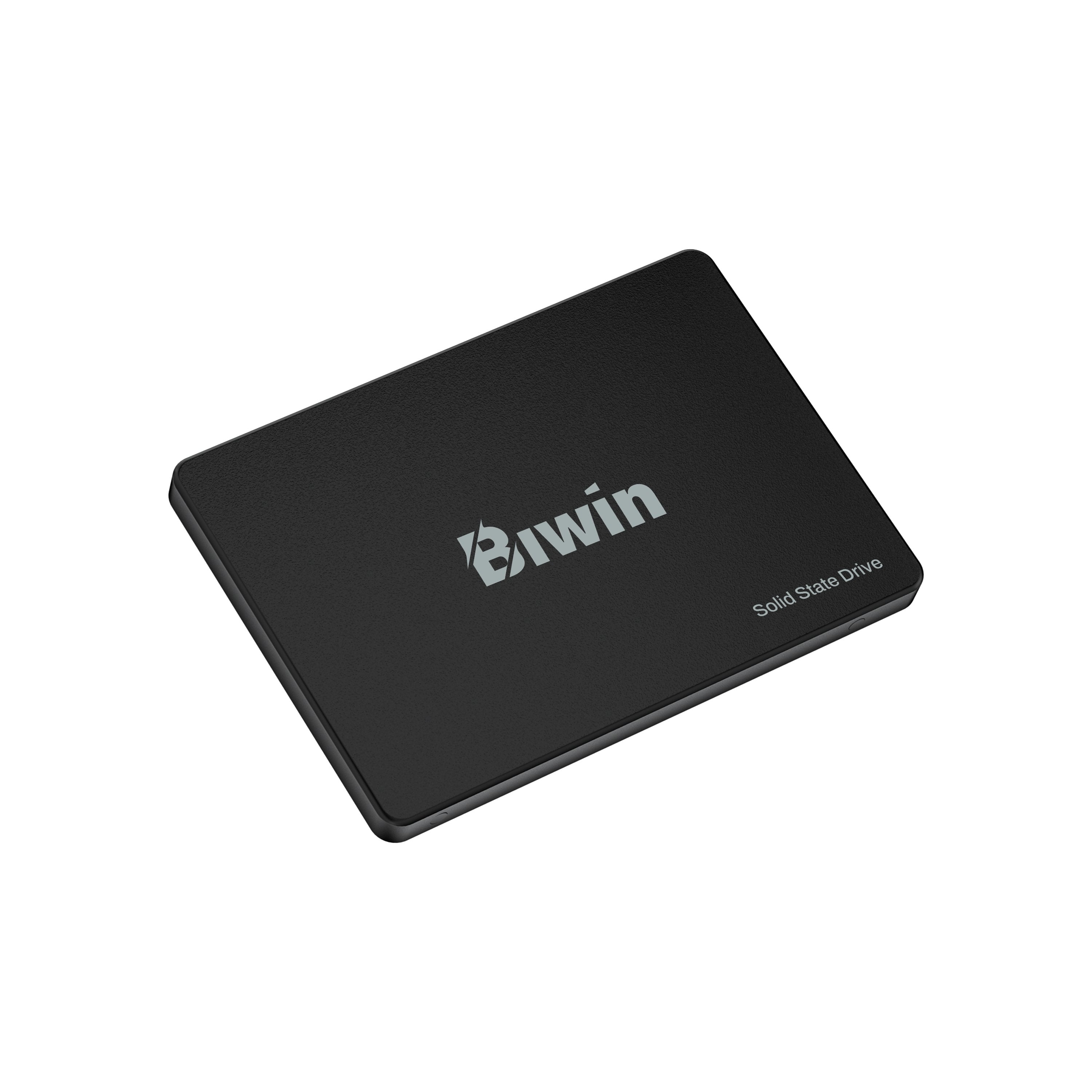 Biwin M100 128gb 2.5" 500 Mb-S