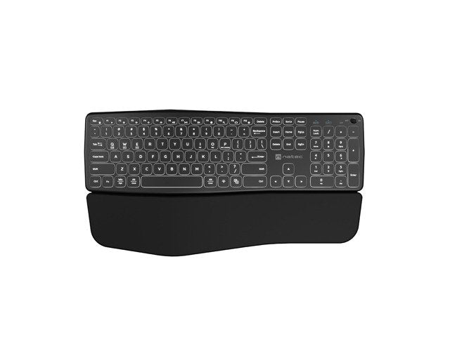 EAN 5901969437836 - NATEC PORIFERA teclado Hogar / Oficina Bluetooth QWERTY Internacional de EE.UU. Negro imagen 1