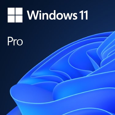 Windows Pro 11 32/64bit Esp Usb
