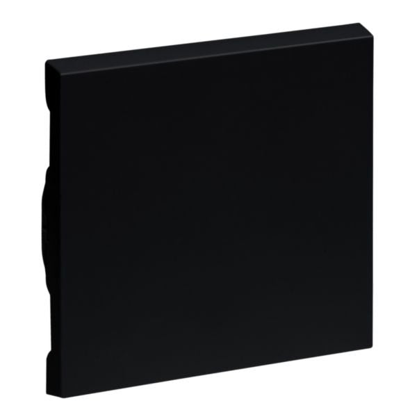 Legrand 765306 Seano Wippe W M In Der Farbausfhrung Schwarz Lackiert