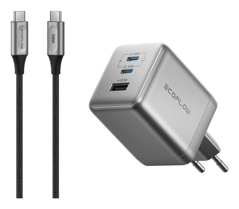 Ecoflow 100w Charger (No Cable)